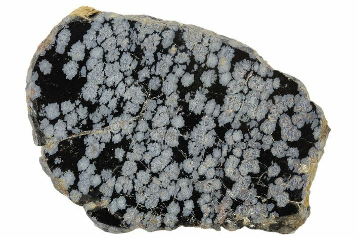 Polished Snowflake Obsidian Section - Utah #117756